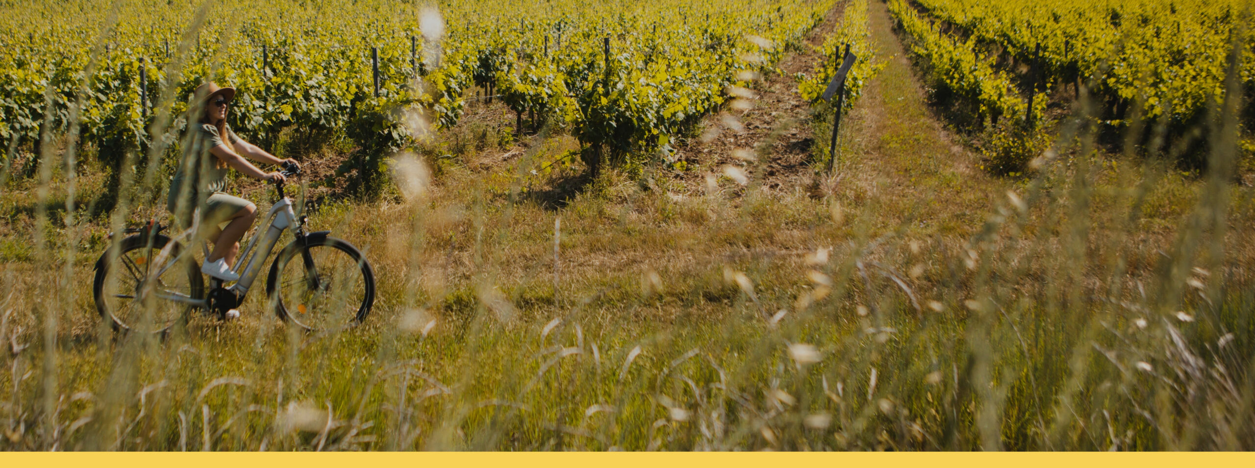 Vignobles en scène en Coeur du Var