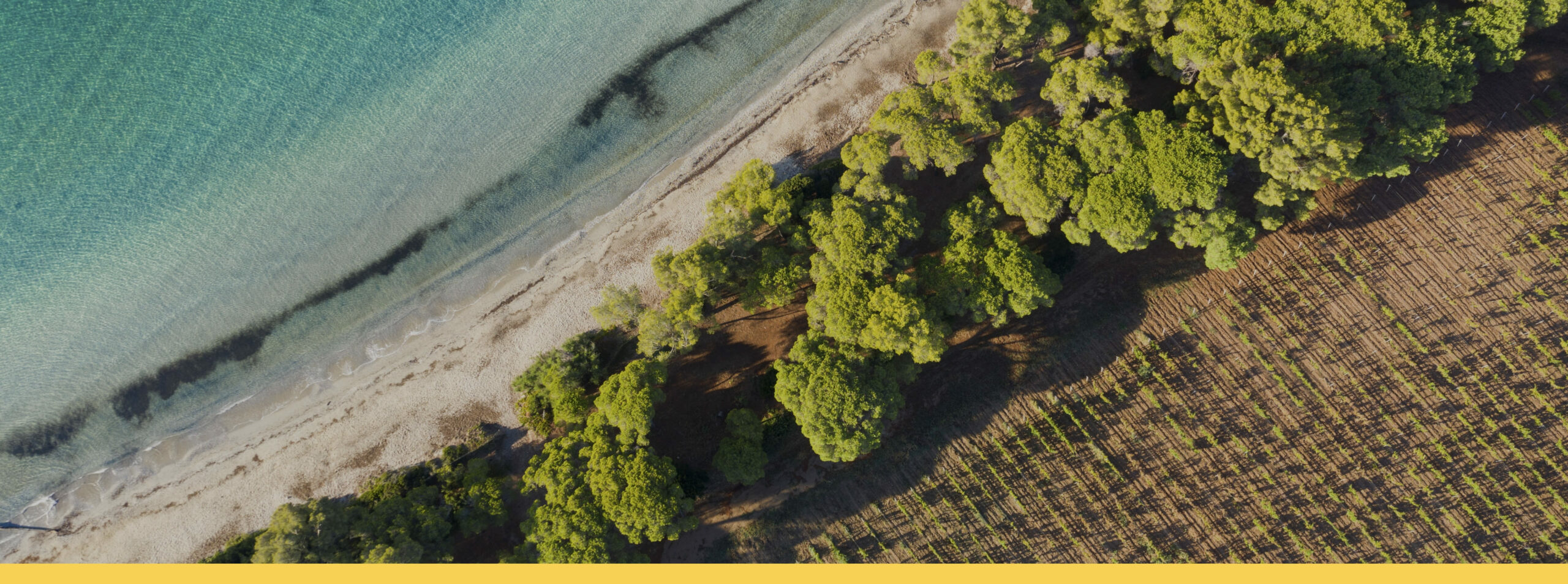 Vignobles en scène en Coeur du Var