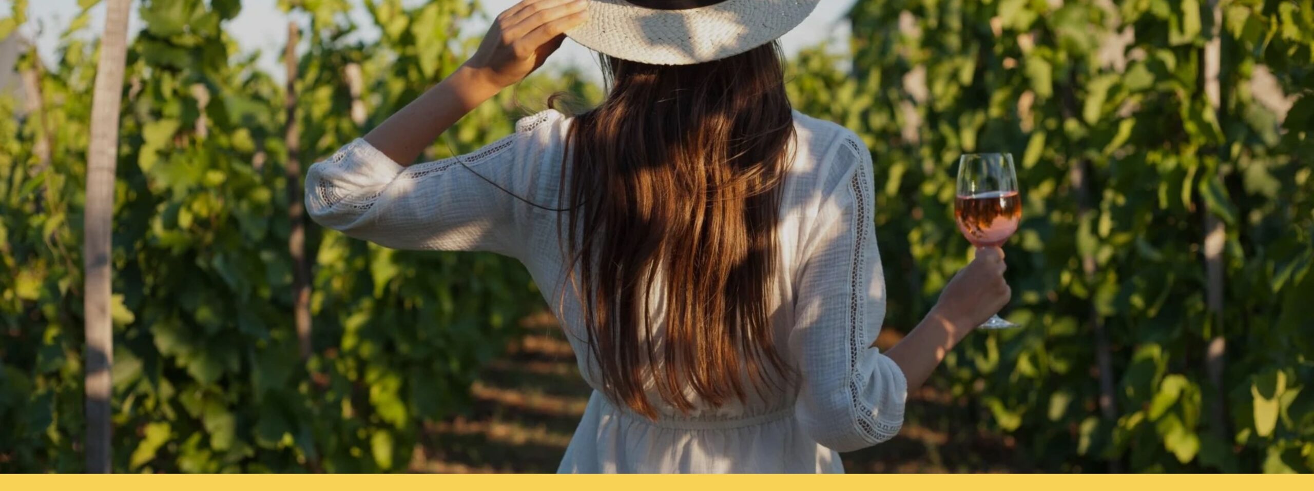 Vignobles en scène en Coeur du Var