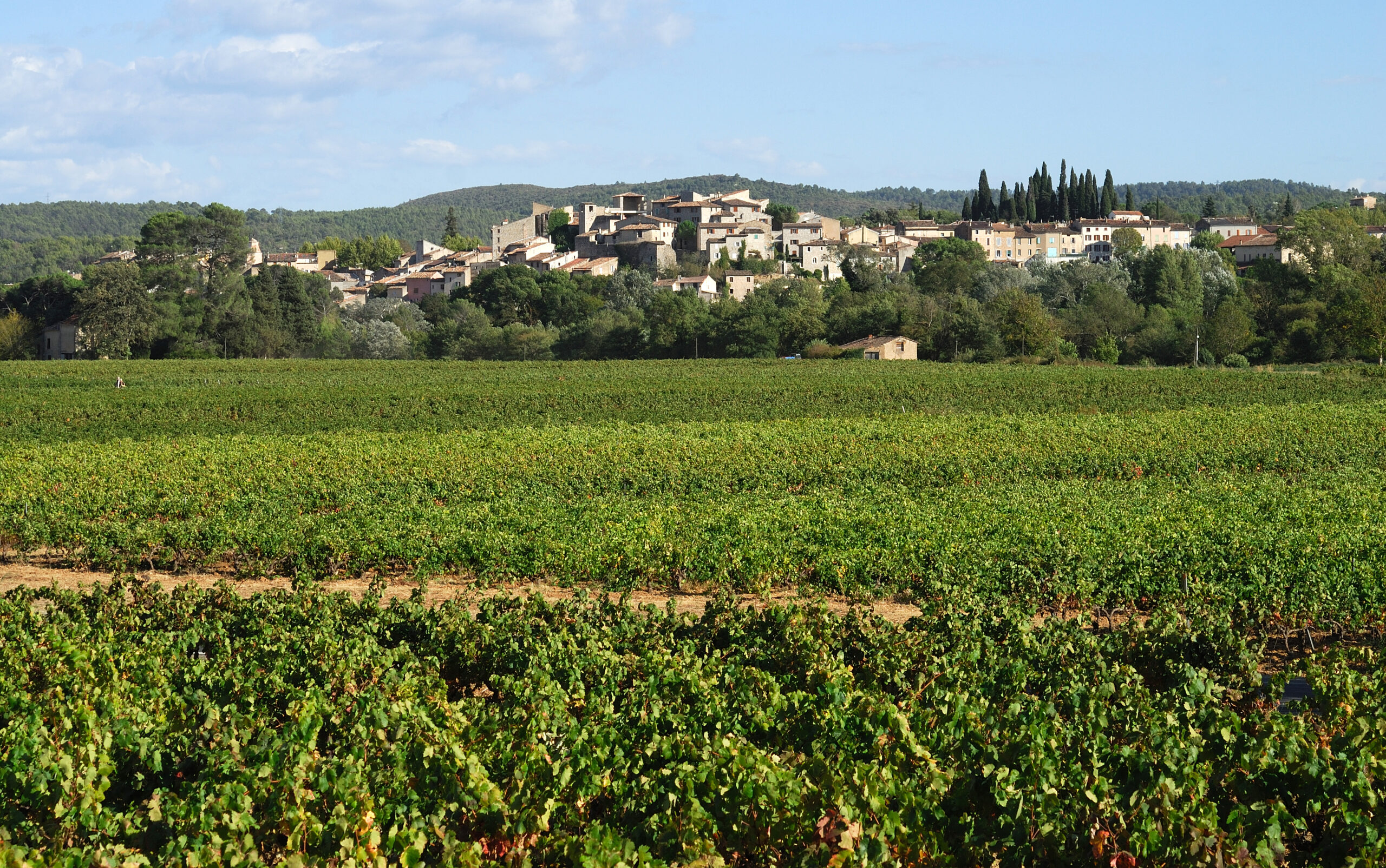 Vignobles en scène en Coeur du Var